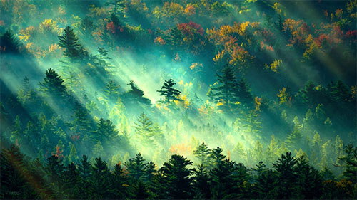 Conway Valley New Hampshire Live Wallpaper