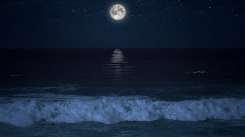 Moonlight On The Beach Live Wallpaper