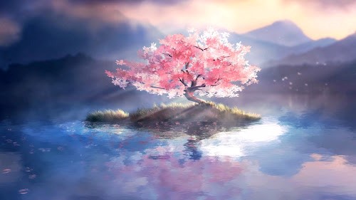 Sakura Reflections Live Wallpaper