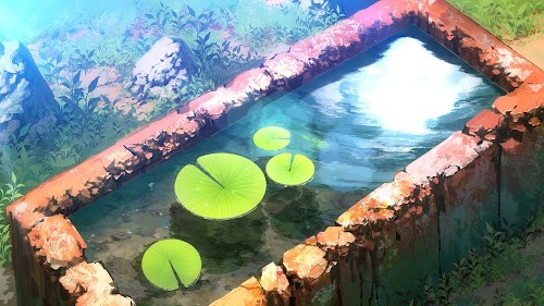 Solitary Lotus Pond Live Wallpaper