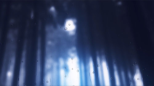 Super Wide Rain Screen Live Wallpaper